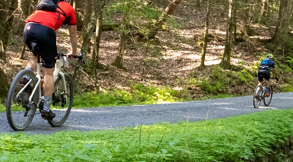 Bald Eagle Gravel Grinder