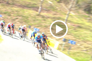 Horror Crash takes out Tour De France Favorites Vingegaard and Evenepoel
