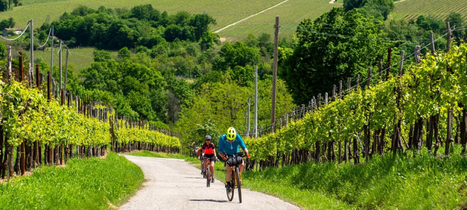 Nova Eroica Prosecco Hills