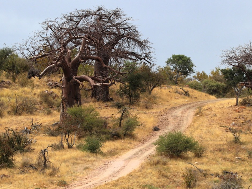 Gravelotte Gravel Grinder