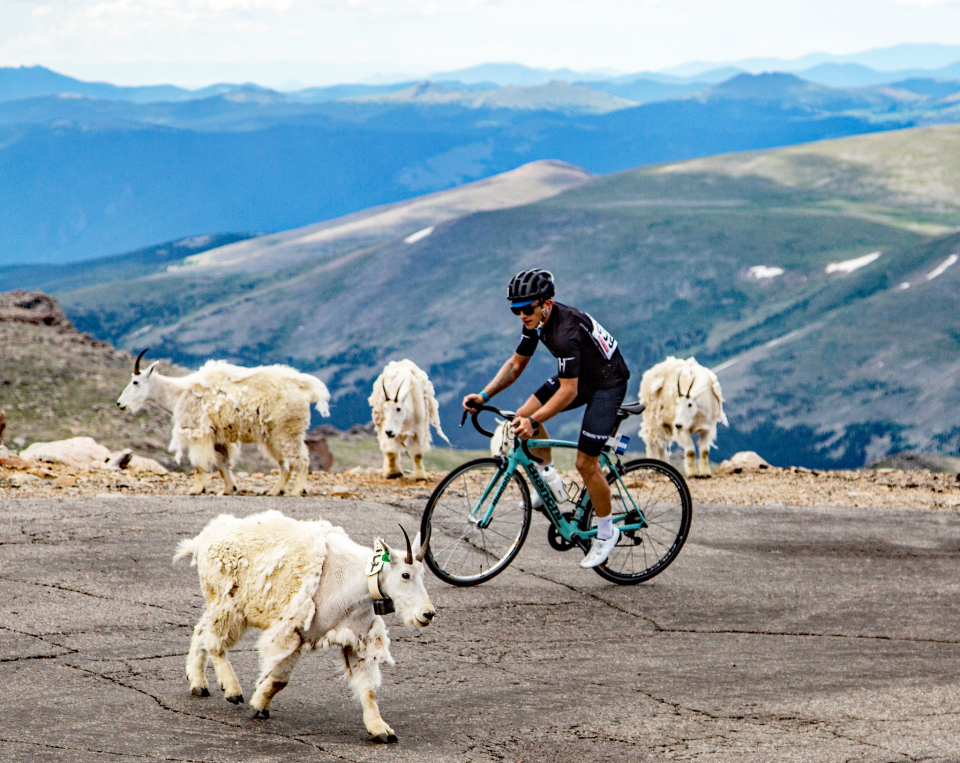 Bob Cook Memorial Mount Evans Hill Climb