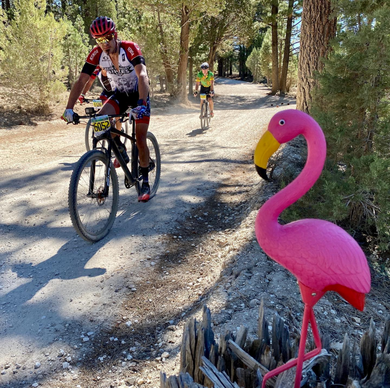 Photo: The 2021 Big Bear featured a NEW 50 mile Gravel Ride through the San Bernardino National Forest fire tracks and gravel roads.