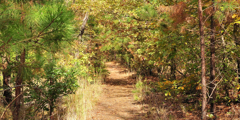 Illinois River Ramble