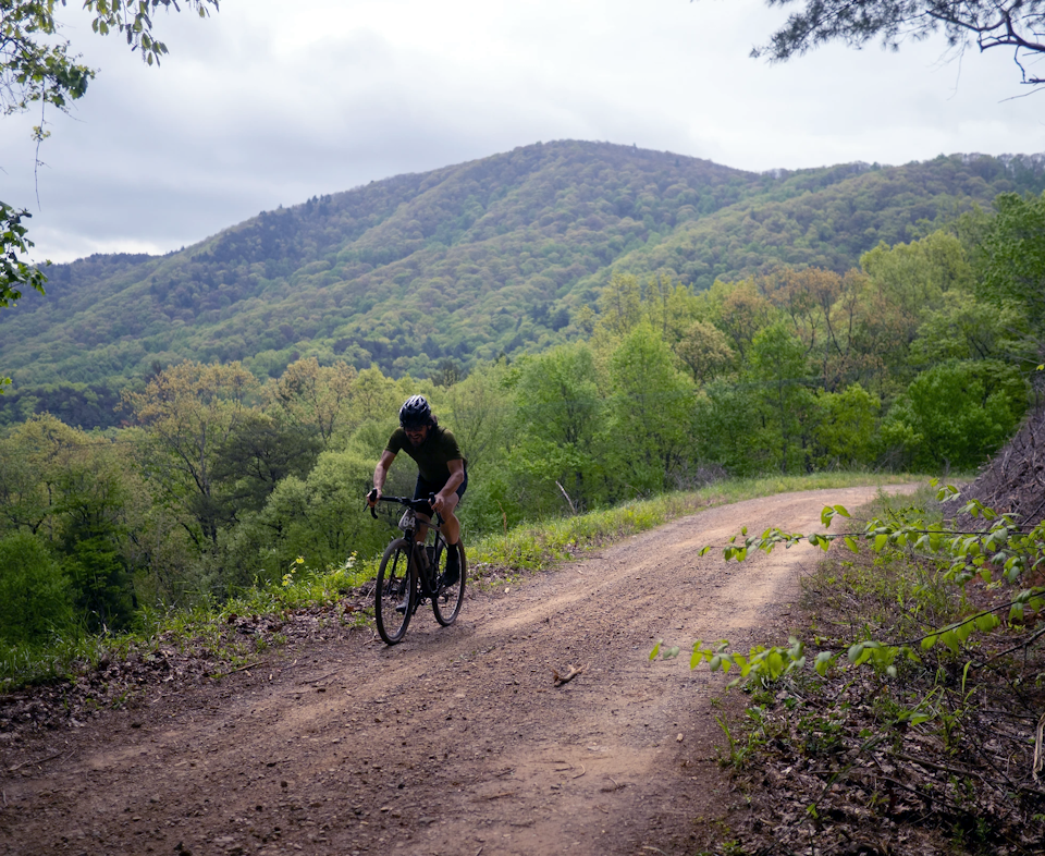 RELIANCE Deep Woods Gravel Grinder