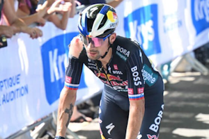 Roglic abandons Tour de France after crash on stage 12
