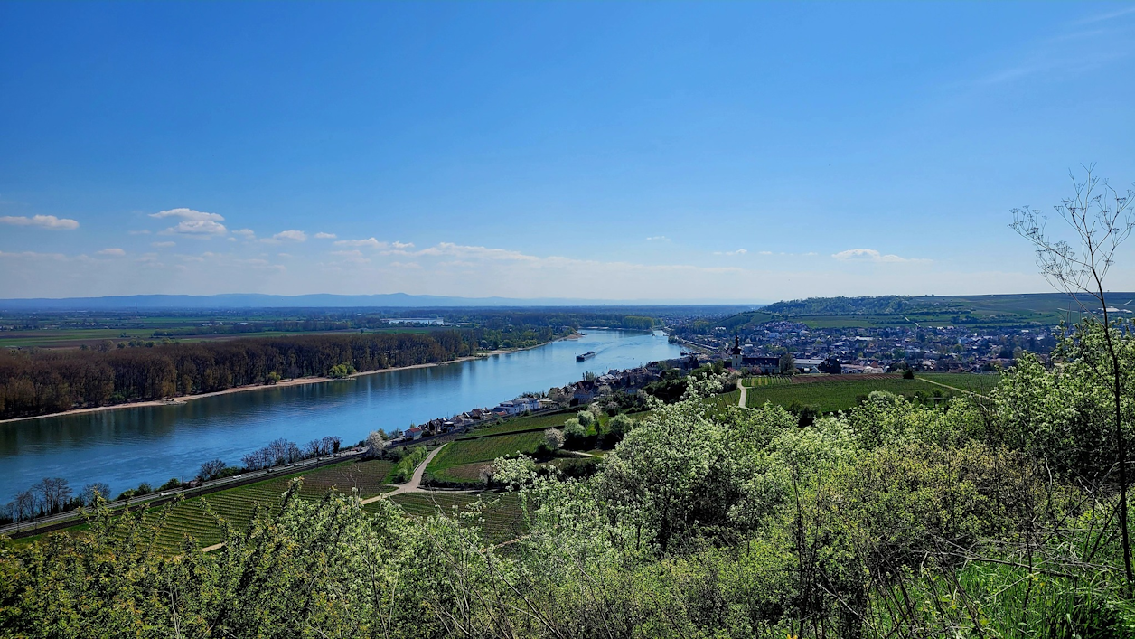 A day in Hell in Rheinhessen