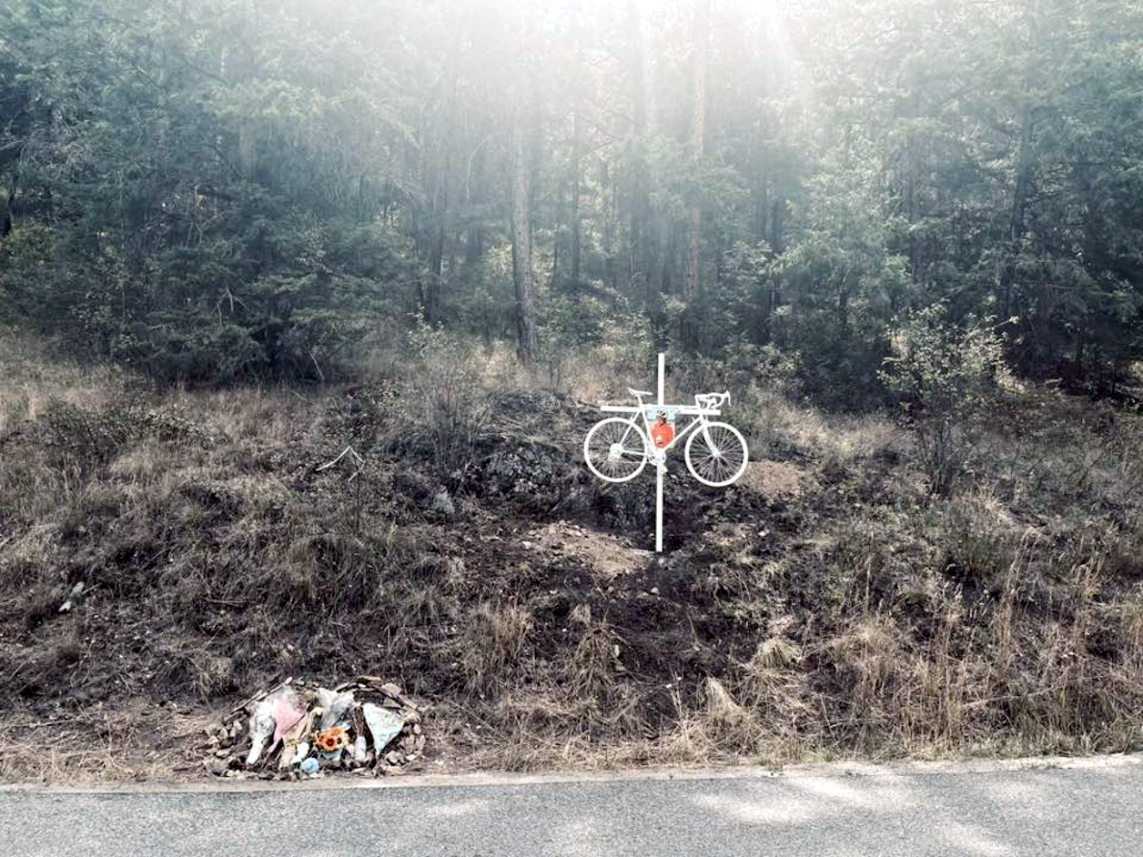 Two of Ava's friends from the Vancouver Fire Department, have errected a memorial in near where the accident occured. 