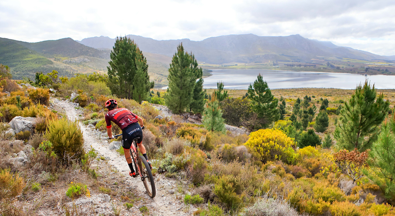 Bikes2Blossoms MTB