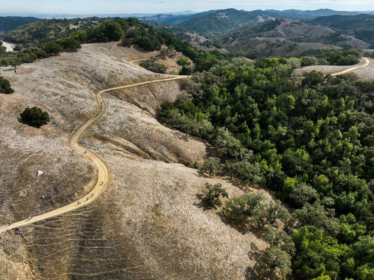  the Bovine Classic is a premier gravel cycling event held annually in Paso Robles, California