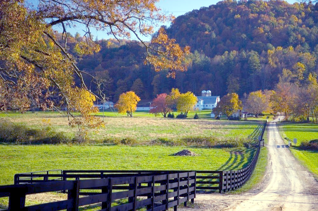 Wag Valley Farm offers the perfect blend of rugged natural beauty and festival vibes