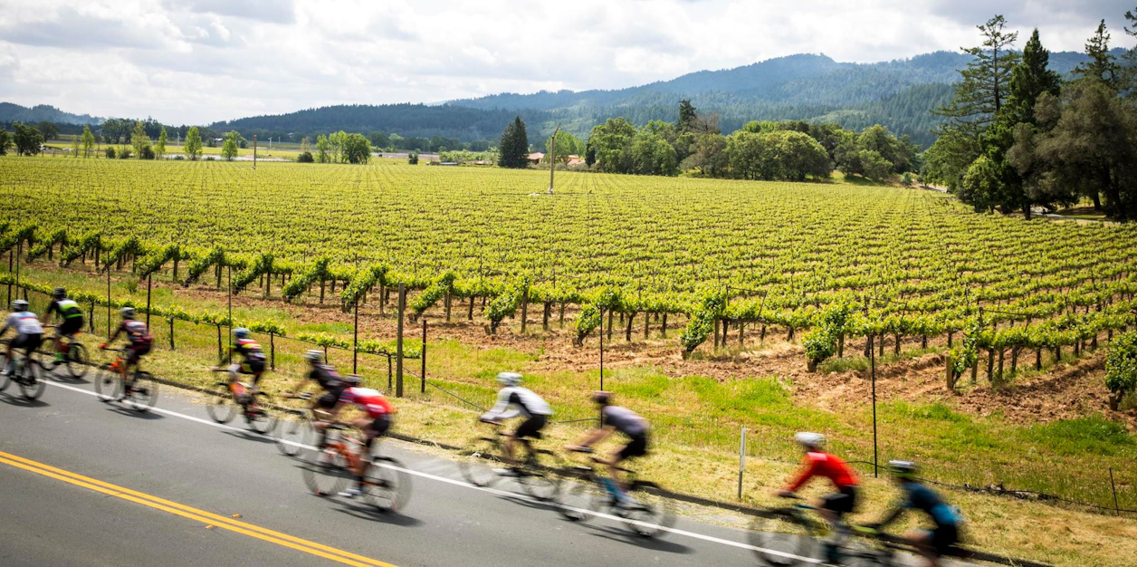 Tour de Calistoga