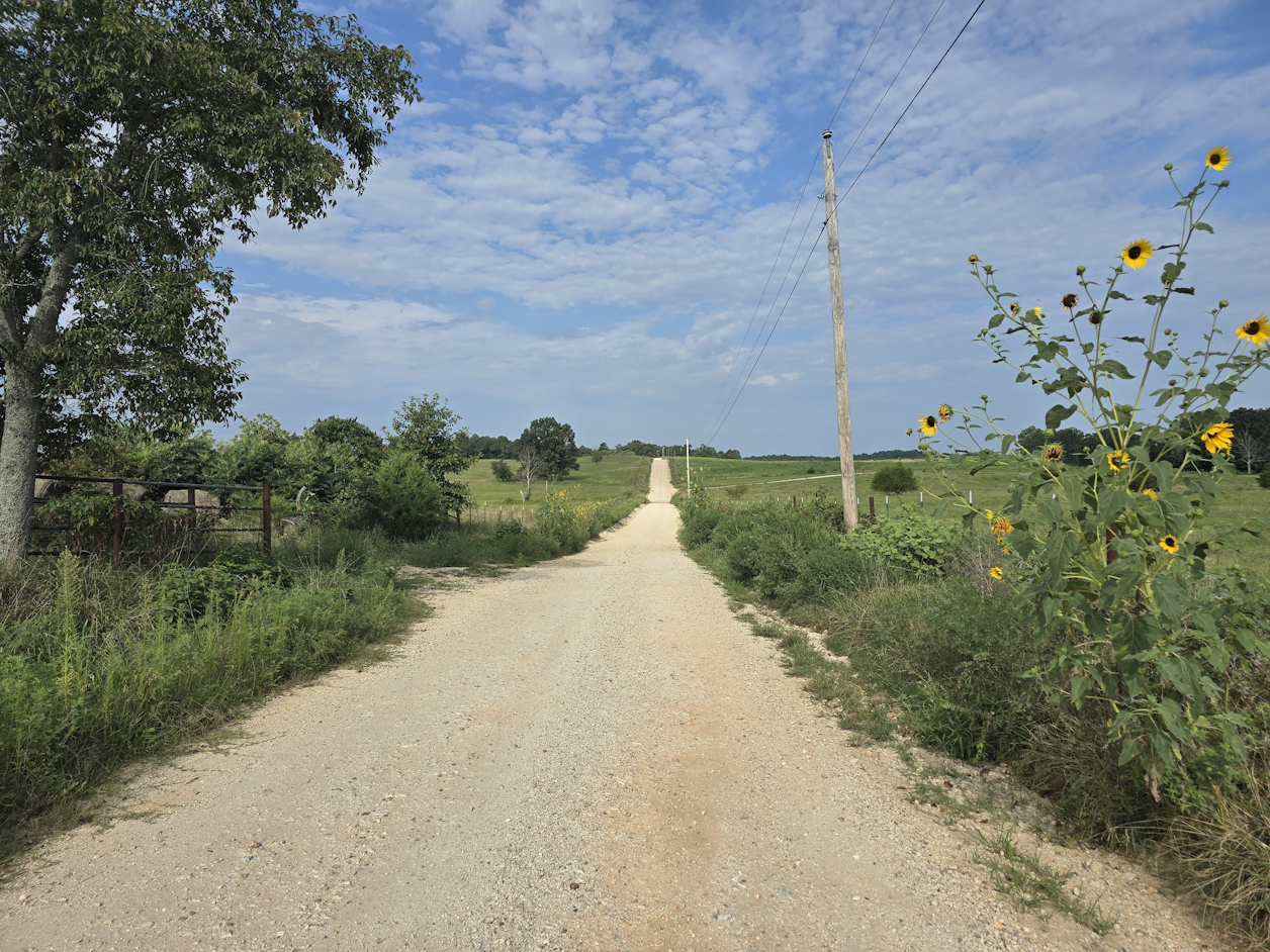 COWabunga! Gravel