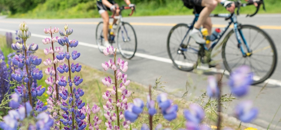 Gulf Coast Bike Trek