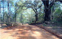 Dirty Pecan Gravel Ride