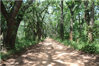 Dirty Pecan Gravel Ride