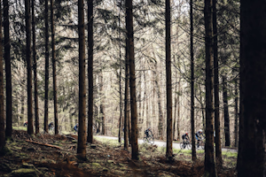 2025 Liège-Bastogne-Liège Challenge Registration Opens