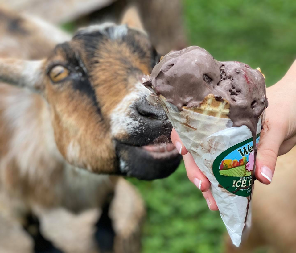 Each stop provides a gourmet selection of seasonal, farm-sourced treats along the way.