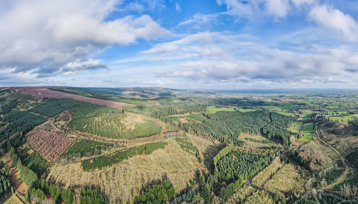 GRS Slieve Blooms