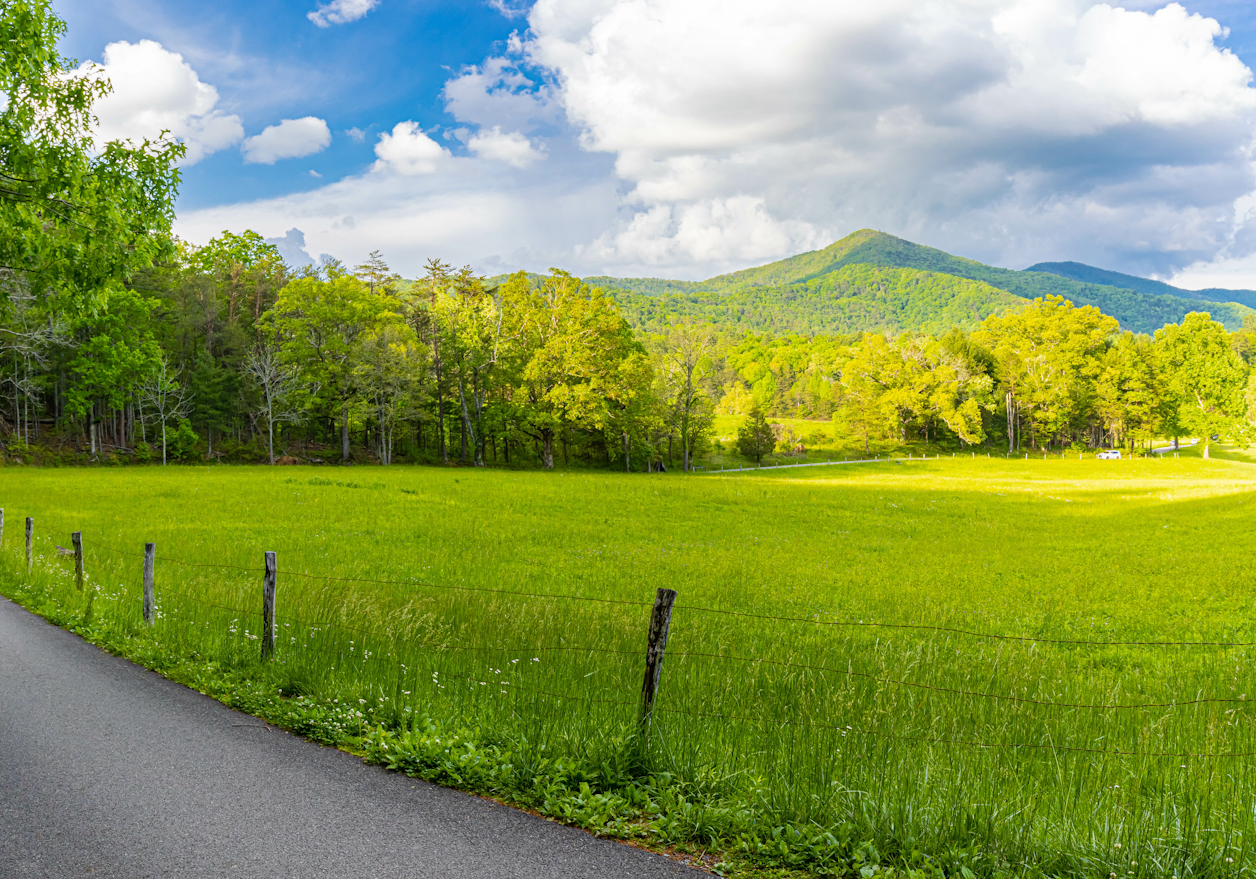 Riders will have a choice of three routes that wind through the quiet rural roads in Virginia’s Piedmont region