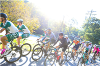2025 Gran Fondo Hincapie-Greenville