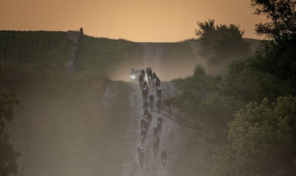 Beers and Kloser Triumph at 2025 Lauf Gravel Worlds in Nebraska