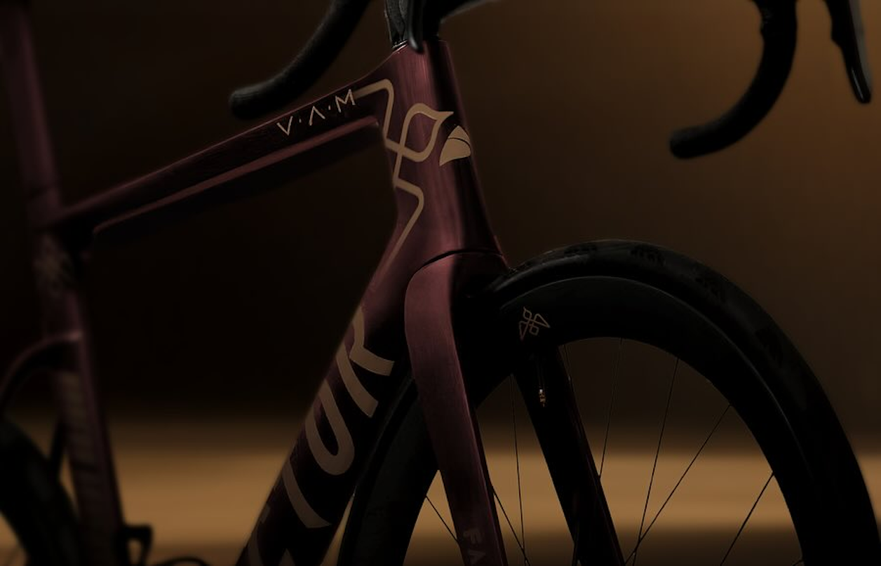 Plans to be a UCI-registered ProTeam in 2026