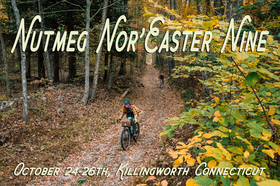 Nutmeg Nor'Easter Nine