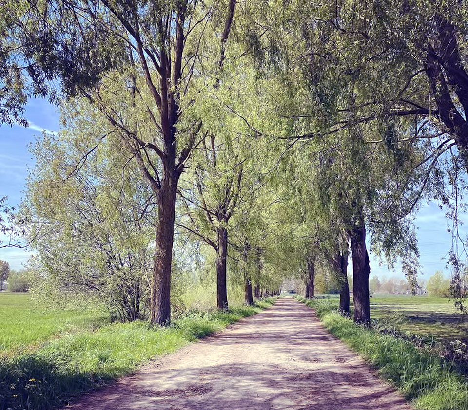 Portaal Gravelride