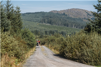 2025 British Gravel Championships