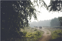 2025 British Gravel Championships