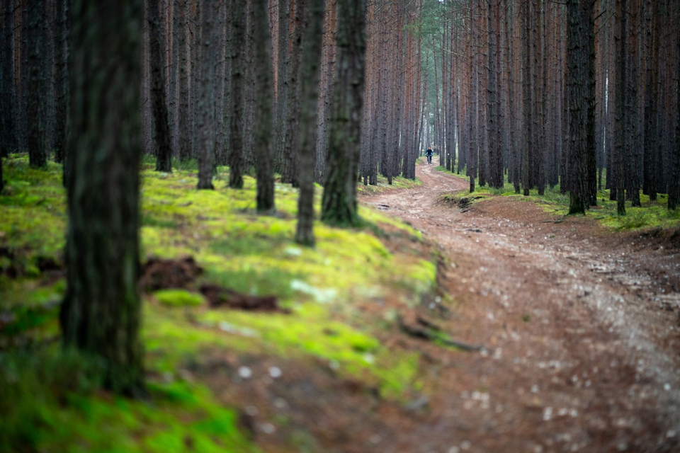 Spiral MTB