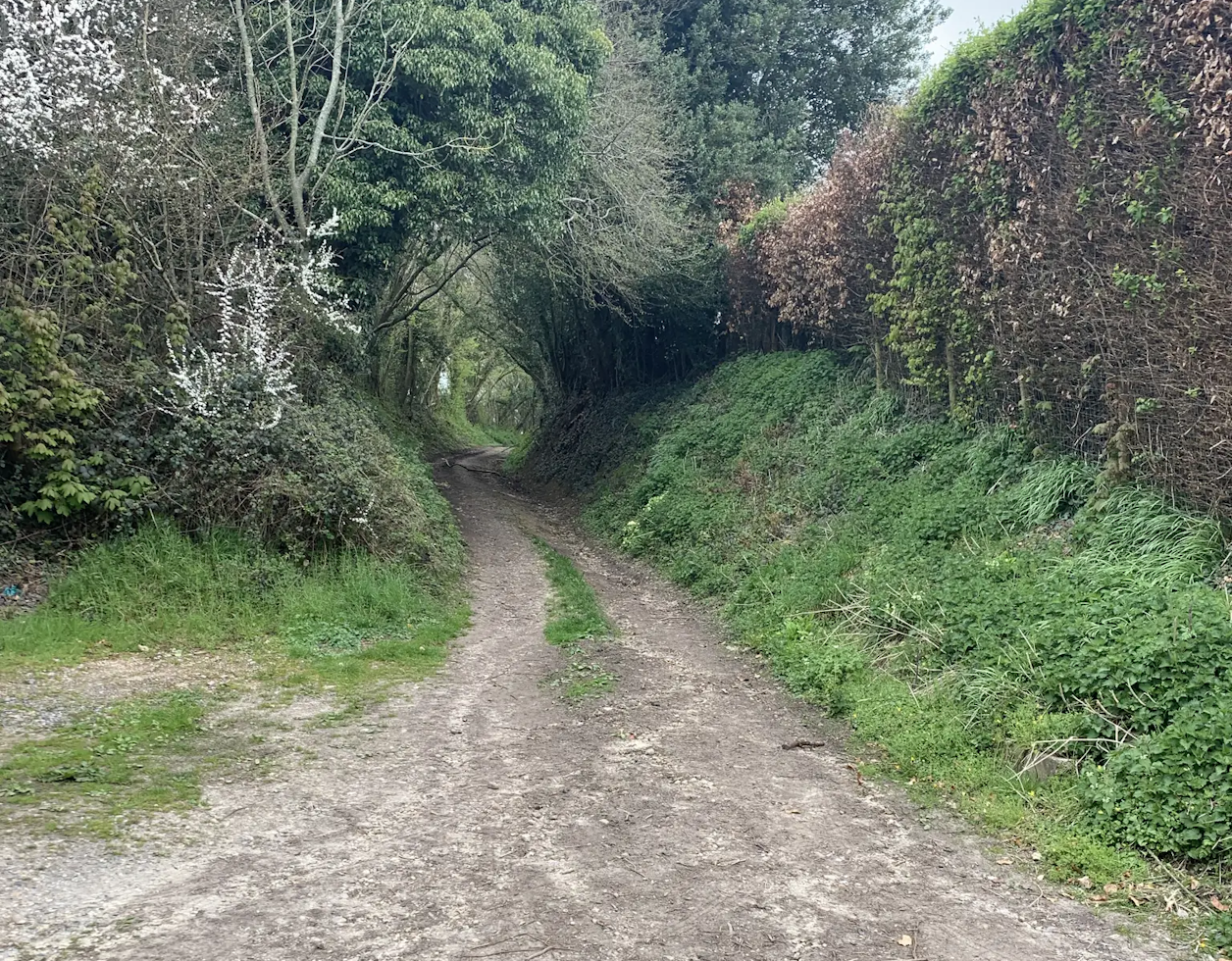 Shepard's Lane, a brutal 17% knarly gravel, rock garden climb