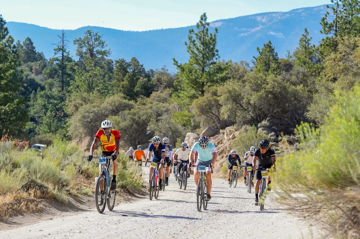 GRAVEL RIDES: (50 mile) Dirty Bear (50 mile) and Dirty Cub  (25 mile) Gravel tours