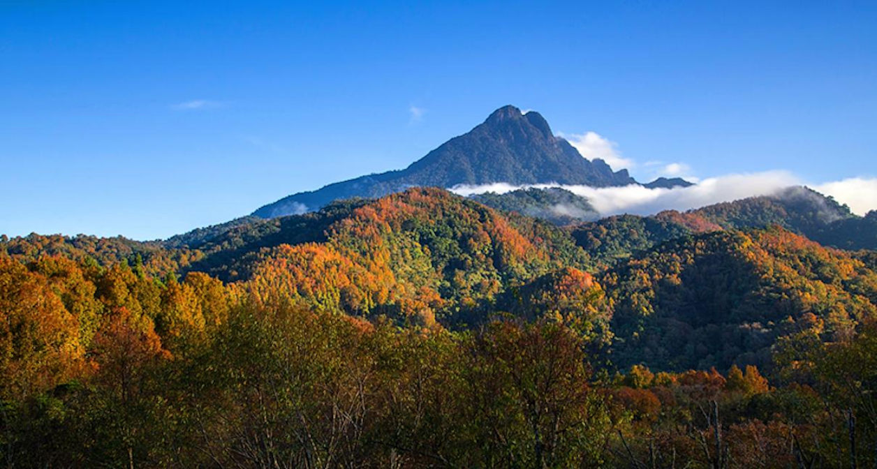 Wuzhi Mountain