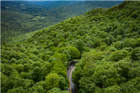 Test your Mettle at the Vermont Gran Fondo v