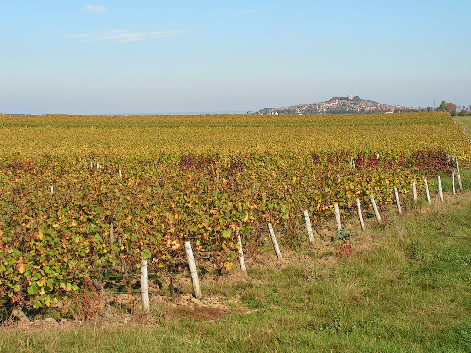 Rallye des Vignobles
