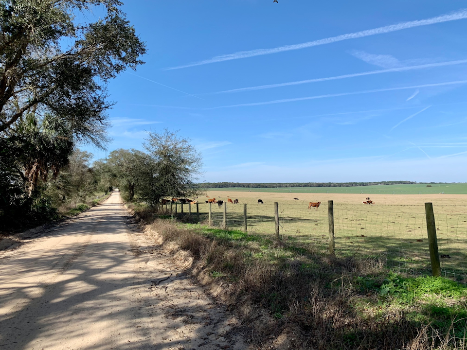 La Fleche Willistone