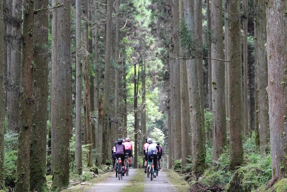 Tour de Yabakei 2025