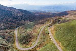 Complete Guide to the 2026 UCI Gran Fondo World Championships in Niseko