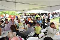 2026 Bluewater International Gran Fondo