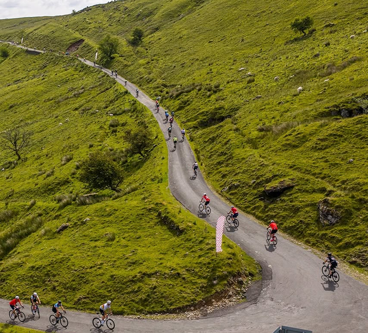 Tipler and Crowell shine in the Gran Fondo