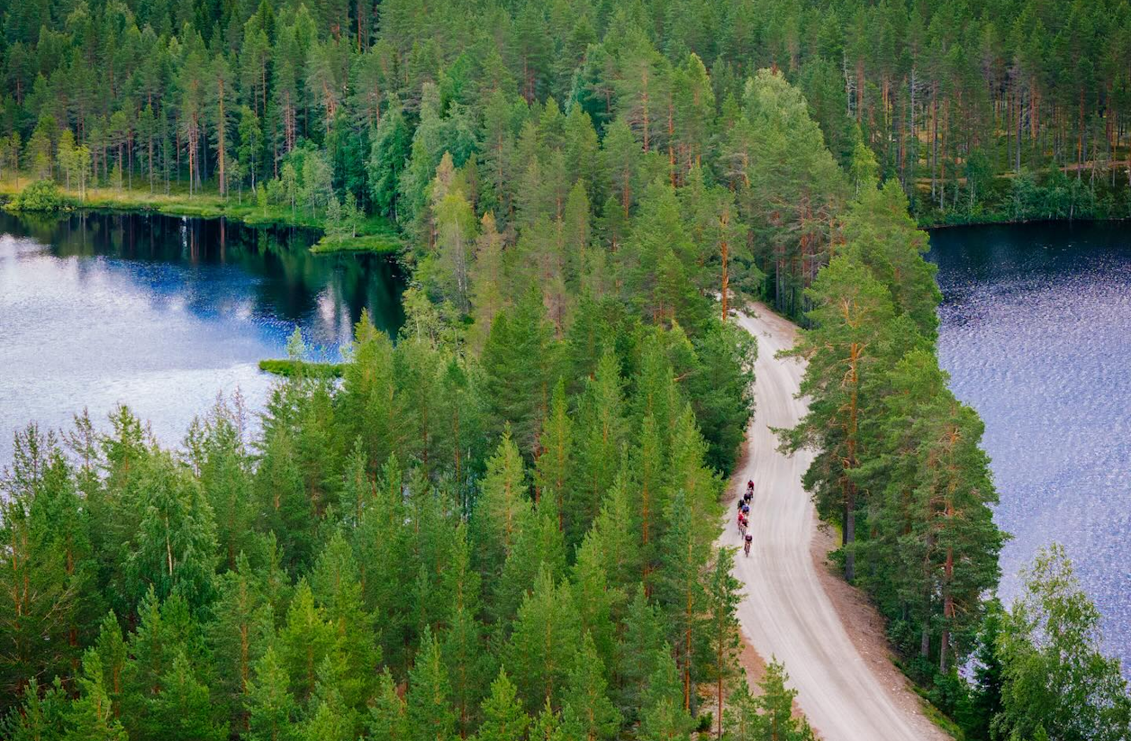 Falling Leaves Lahiti