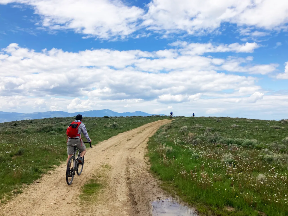 Golden Gravel Grinder Golden Gravel Grinder