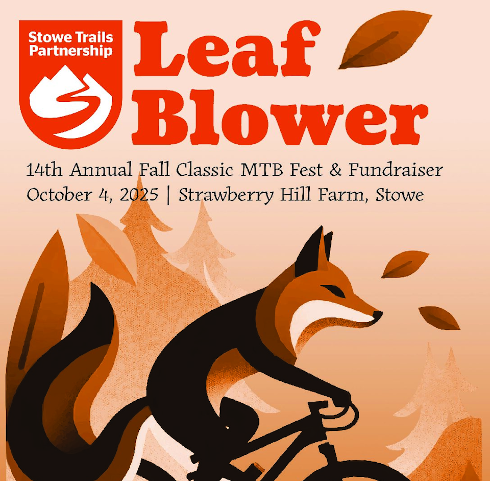 Leaf Blower Fall Classic Leaf Blower Fall Classic