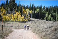 Last Grizzly Gravel Stage Race: 3-Days Ride and Race in Utah this September