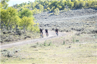 Last Grizzly Gravel Stage Race: 3-Days Ride and Race in Utah this September