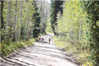 Last Grizzly Gravel Stage Race: 3-Days Ride and Race in Utah this September