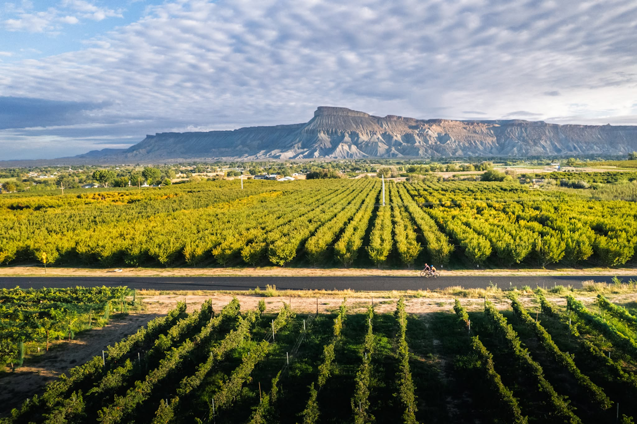 Tour de Vineyards — September 19, 2026 (Colorado) Tour de Vineyards — September 19, 2026 (Colorado)