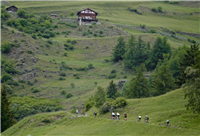 2026 La Stelvio Santini Gravel