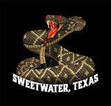 Rattlesnake